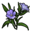 Flax Flax